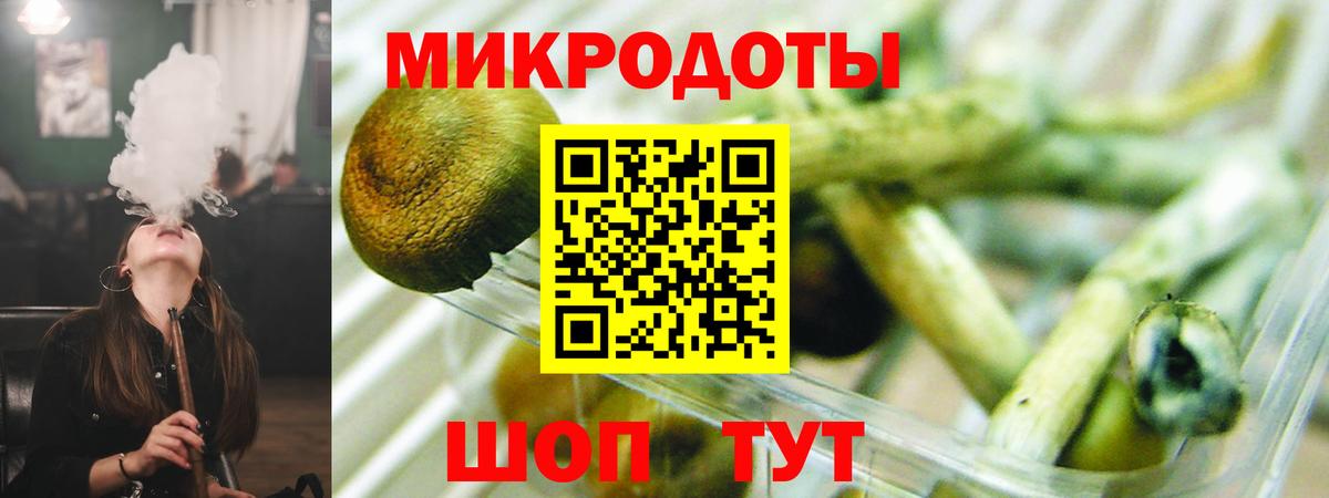 Псилоцибиновые грибы GOLDEN TEACHER  Вход с VPN  Знаменск  Галлюциногенные грибы MAGIC MUSHROOMS 